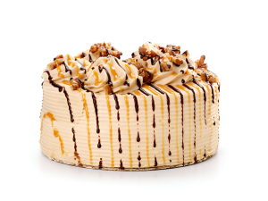 Chocolate Caramel Cake
